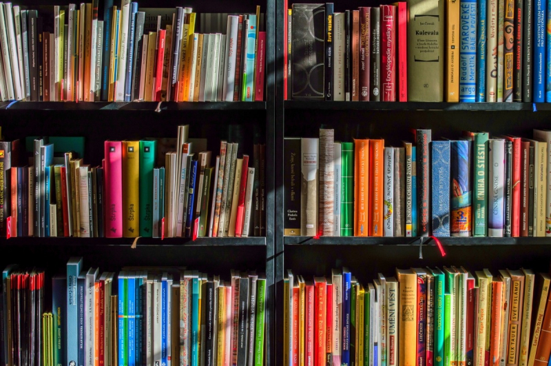 vente-SANARY SUR MER-min_books_bookstore_book_reading_shop_writer_sale_books_read-822866